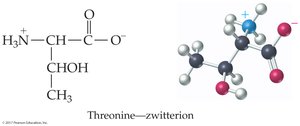 Threonine zwitterion structure