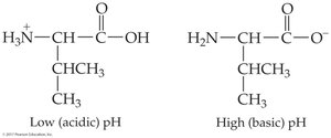 Valine at low pH