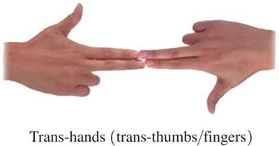 Trans-hands model for trans isomerism