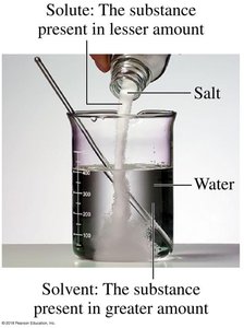 Solute and solvent in a solution (salt in water)
