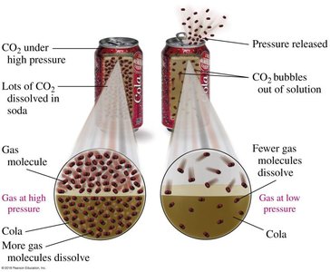 Henry's Law: CO2 solubility in soda under pressure