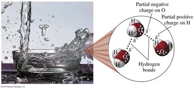 Water polarity and hydrogen bonding