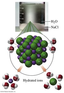 Hydration of NaCl in water
