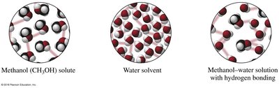 Methanol and water hydrogen bonding