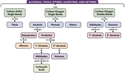 Alcohols, thiols, ethers, aldehydes, and ketones concept map