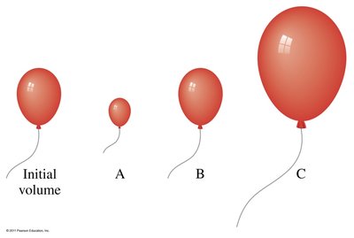 Balloon volume change illustration