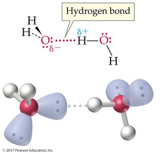 Dissolution of ionic substance in water