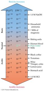 pH scale with examples of common substances