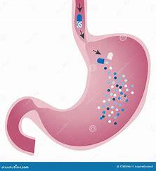 Medicine dissolving in the stomach