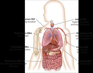 Radioisotopes used in diagnosis and treatment in the human body