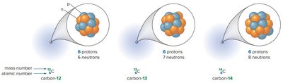Isotopes of carbon: carbon-12, carbon-13, carbon-14