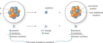 Positron emission: Carbon-11 decays to Boron-11 by emitting a positron
