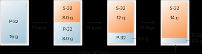 Half-life decay diagram for phosphorus-32