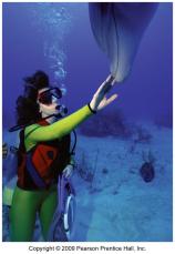 Scuba diver and gas mixture