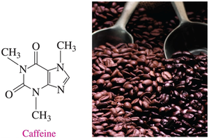 Structure of caffeine and coffee beans