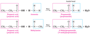 Amidation reactions to form amides