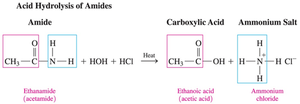 Acid hydrolysis of amides