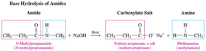 Base hydrolysis of amides