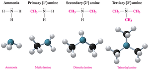 Classification and structure of amines