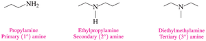 Line-angle formulas of amines