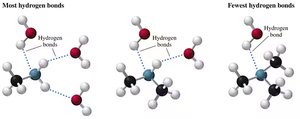 Hydrogen bonding in amines