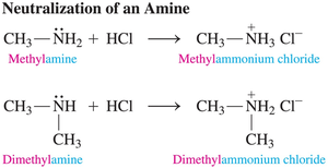 Neutralization of amines to form amine salts