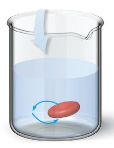 Isotonic solution and red blood cell
