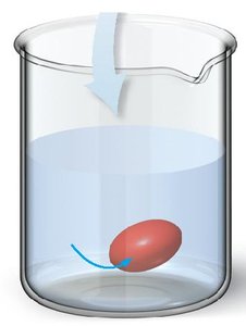 Hypotonic solution and red blood cell swelling (hemolysis)