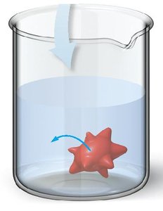 Hypertonic solution and red blood cell shrinkage (crenation)