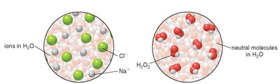Ions and neutral molecules in water