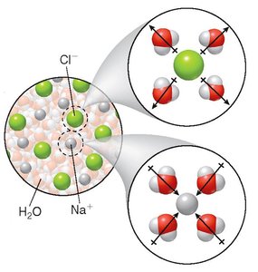 Solvation of ions in water