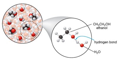 Hydrogen bonding between ethanol and water