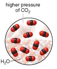 Higher pressure of CO2 increases solubility in water