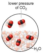Lower pressure of CO2 decreases solubility in water