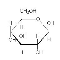 Haworth projection of glucose