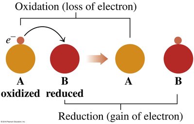 Oxidation and reduction diagram