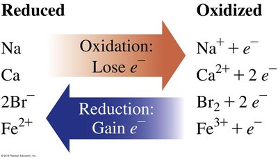 Oxidation vs reduction examples