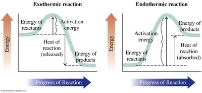 Exothermic vs endothermic reaction energy profiles