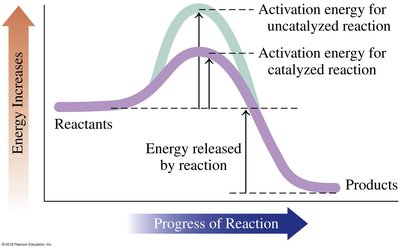 Reaction rate energy profile