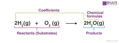 Chemical equation structure