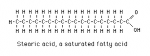 Stearic acid structure