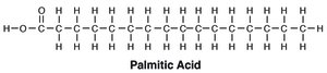 Palmitic acid structure