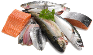Fish