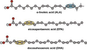 Omega-3 fatty acid structures