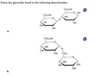Practice problem: naming glycosidic bonds in disaccharides