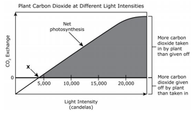 Graph showing plant CO2 exchange at different light intensities