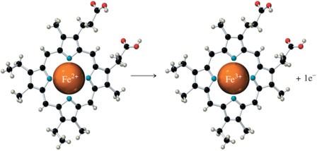 Cytochrome c: iron oxidation and reduction