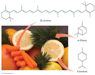 Ethyne as an alkyne with a triple bond