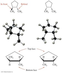 trans-1,2-dimethylcyclopentane and cis-1,2-dimethylcyclopentane