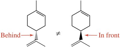 Mirror image of right hand